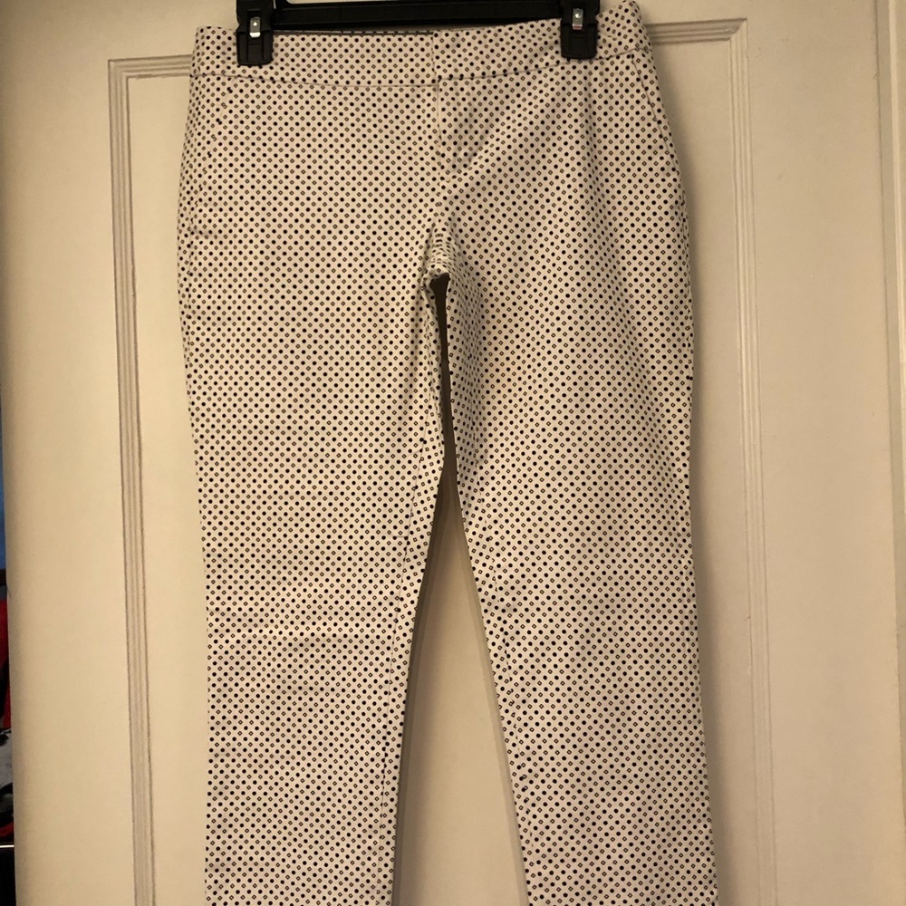 Dress pants